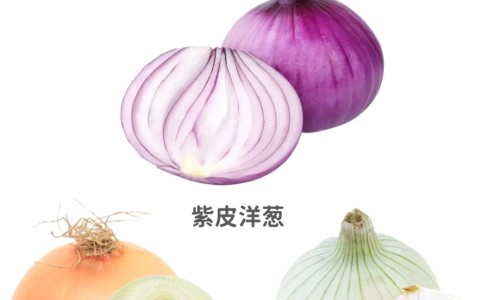 锦草木樨药用价值及功效-锦草木樨药用价值网- 锦草木樨药用价值和功效知识,分享木锦花的功效